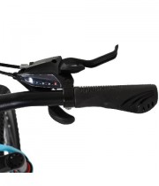 Bicicleta copii cu cadru magneziu si suspensie 20
