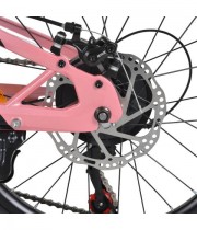 Bicicleta copii cu cadru magneziu si suspensie 20 