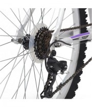 Bicicleta pentru dama cu roti 26 inch
