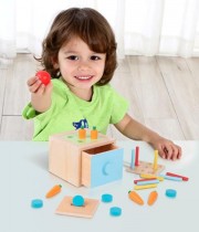 Cub educativ Montessori sortator din lemn 