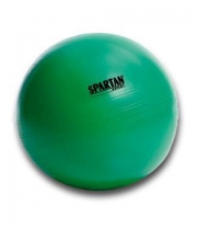 Minge gimnastica SPARTAN 65 cm