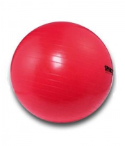 Power Gymnastikbäle SPARTAN 95 cm