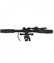 Trotineta pliabila BYOX Chic negru
